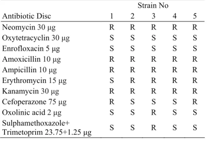Table 1. Isolation and PCR detection of F. psychrophilum from  fish samples collected from various ponds with different water  temperature 