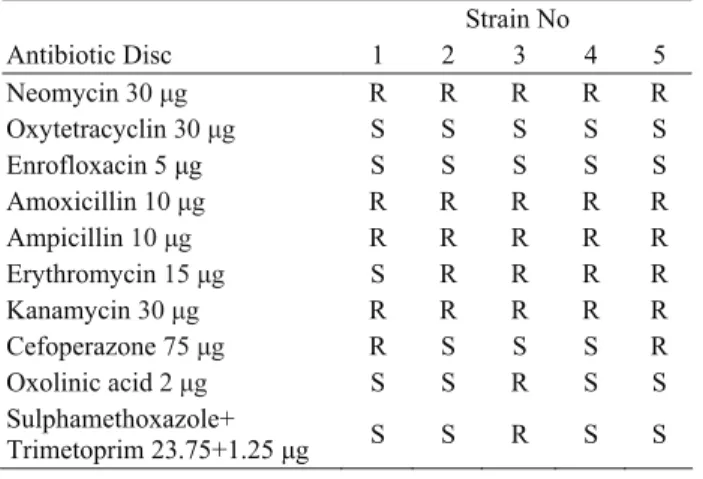 Table 1. Isolation and PCR detection of F. psychrophilum from  fish samples collected from various ponds with different water  temperature 