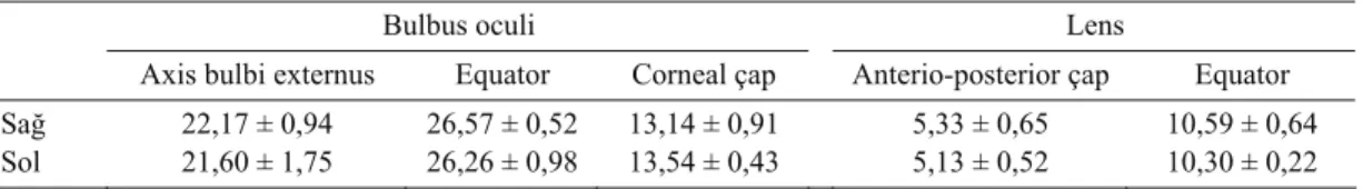 Tablo 1. Şahinde bulbus oculi ve lens’e ait bazı morfometrik ölçümler (mm, ortalama ± Standart sapma)  Table 1