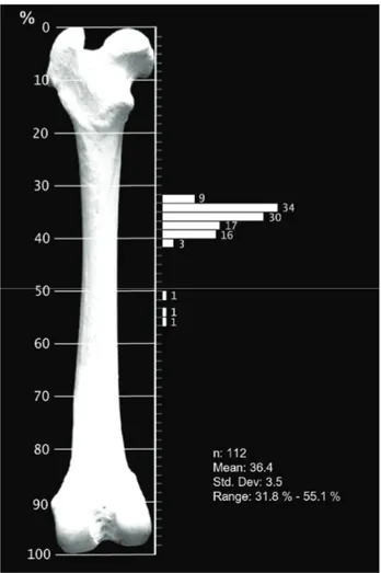 Figure 1. The histogram of the  foraminal index on the dog  femur.  