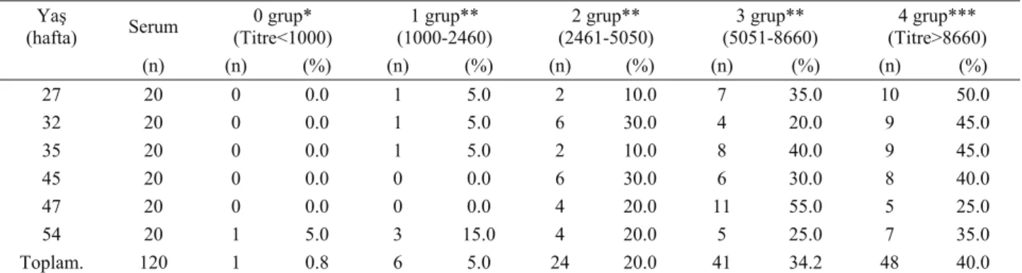 Tablo 2. Farklı yaşlardaki aşılı broyler damızlık sürülerin  ortalama antikor titreleri 