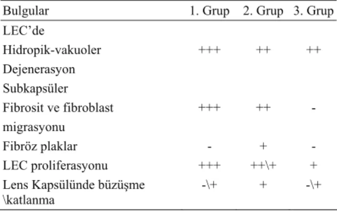 Tablo 1. Histopatolojik açıdan genel olarak tüm gruplarda her  iki gözde rastlanan bulguların derecelendirilmesi
