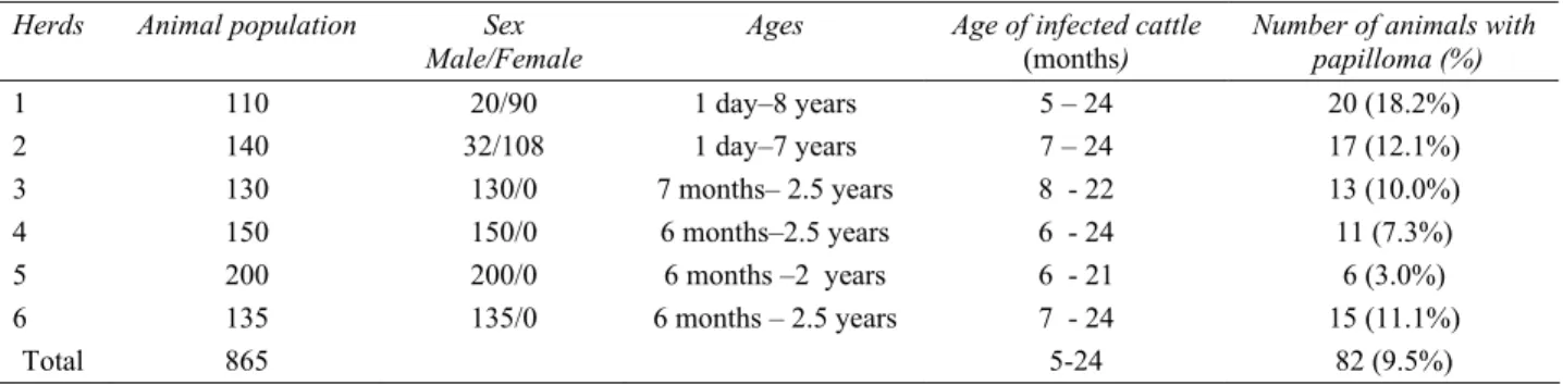 Table 2. Distribution of bovine cutaneous papillomatosis  according to their locations