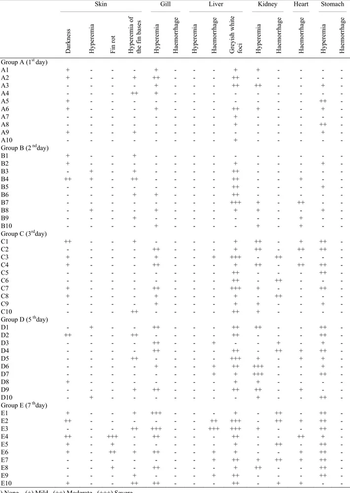 Table 1. Distribution of macroscopical findings according to the organs.  Tablo 1. Organlara göre makroskobik bulguların dağılımı