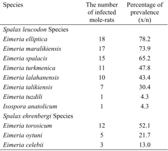 Tablo 1. Dışkı örneği toplanan 23 kör faredeki coccidian parazit  (Spalax leucodon and Spalax ehrenbergi türleri) prevalansı 