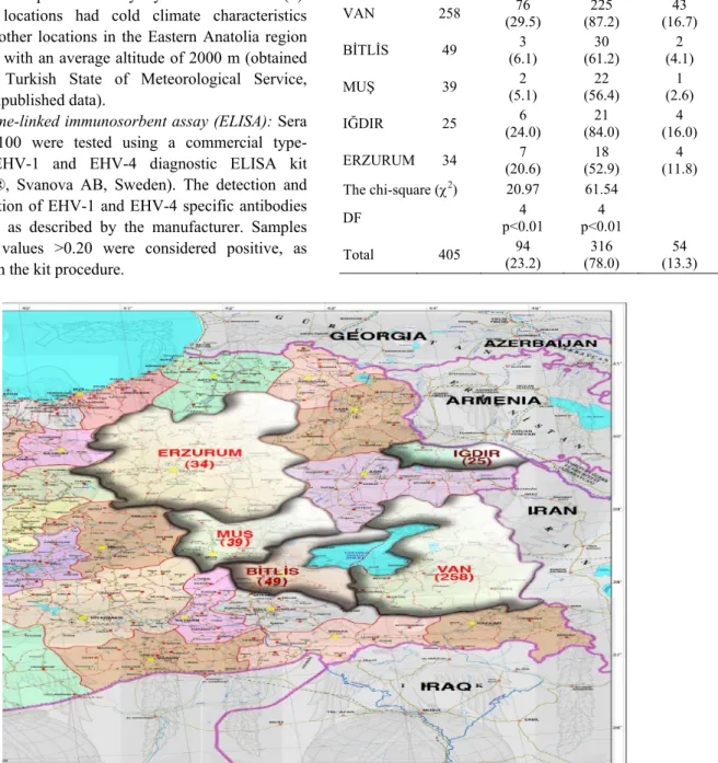 Table 1. Distribution of EHV-1 and EHV-4 spesific antibodies  according to five provinces