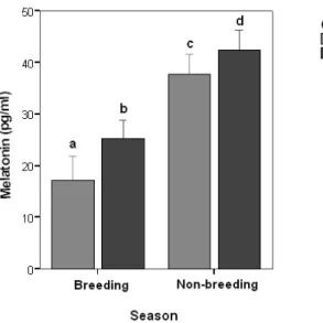 Fig. 1. Differences in mean serum melatonin concentrations of  Arabian mares and stallions during breeding and non-breeding  seasons