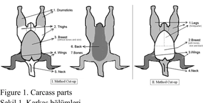 Figure 1. Carcass parts   Şekil 1. Karkas bölümleri 