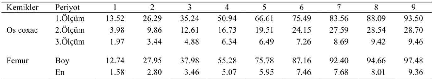 Tablo 1. Os coxae ve femur’un mm cinsinden ölçümleri.  Table 1. The measurement of the os coxae and femur.(mm)  