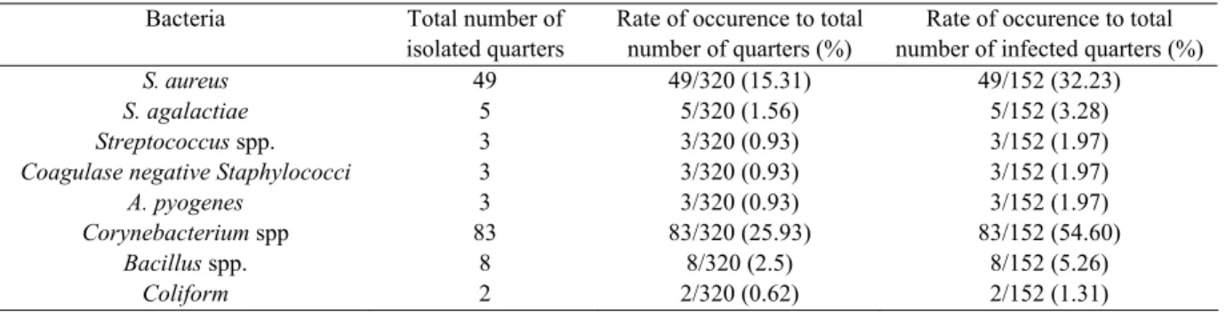 Table 1. Microorganisms detected in infected mammary quarters before drying off  Bacteria  Total number of 