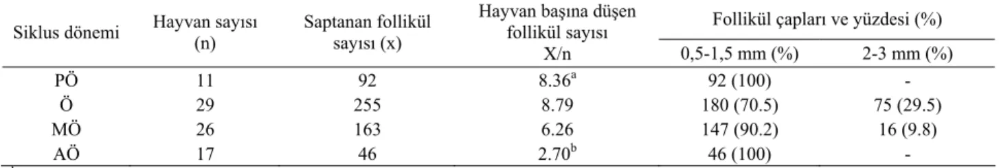 Tablo 1. Siklus dönemlerinde follikül sayısı, yüzdesi ve büyüklükleri.  Table 1. Follicle counts, rate and diameters observed in sexual cycle phases 