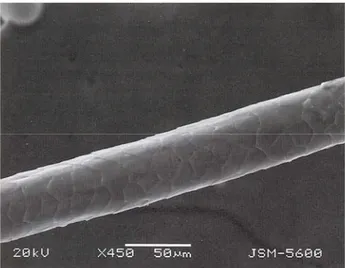 Figure 1. SEM view of the mohair fiber.  Şekil 2. Pulcukların görünümü.  Figure 2. View of the cuticle scale.