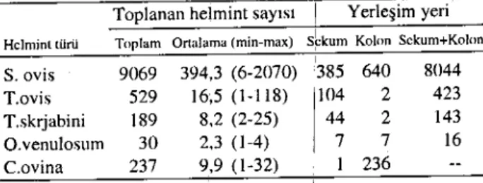 Tablo 6. Kalmbagırsaklarda bulunan helmint türlerinin sayısı (ortalama, minimum-maksimum) Ye yerle~im yeri.
