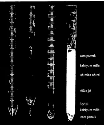Şekil I. Çall~1l1adil klılLIllılan eillll kolonl<ll' LT ilıborn;lnl;lrL,