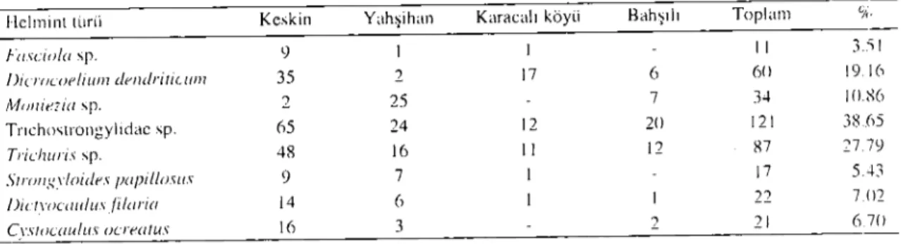 Tablo i Ba&#34;ISI yapılan koyunların yerle'jim merkezlerine göre dağılımları ve bulunan helmint Wrlerı.