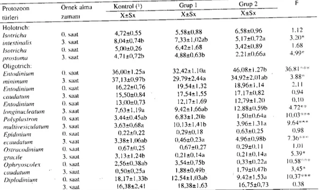 Tablo 6. Rumen sıvısı protozoon türleri ve dağılımı (%) (n= 12). Table 6. ProtaLOa species and classification in rumen fluid (0Je) (n= i 2).