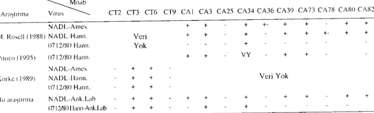 Table 3. CoıııparaUon of Moah reanioıı patterns of ;\ıAOL-Ank.Lah and0712/80/Hannover-Ank.Lah ') results [aken froııı &#34;ınıses III Virology Inslilutc of Hannovel' Veterinary High SchooL.