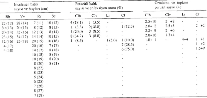 Table ı. Amounts of occurrence of Caryophyllaeu.l laıiceps (Clb. Clv) in Biiecu hjoerkna (Bb) and Vimha ı'imha