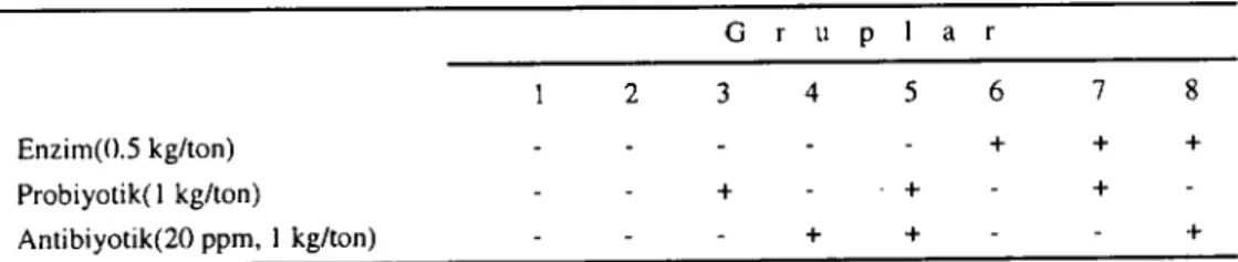 Table I. The design of experimenta\ groups.