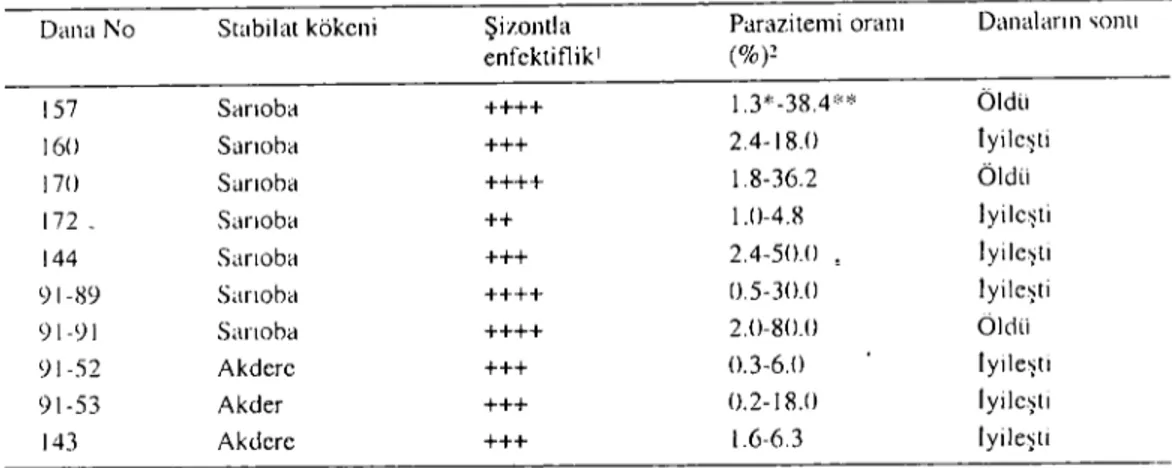 Table 3. Quantitative analysis of the parasitosis and outeome of the disease in the ealves inoeulated with resuseıtated sporozoites harvested from H.a.anatolicum ticks infected with either Tannulata Sarıoba or T.wlIıulaf(/ Akdere