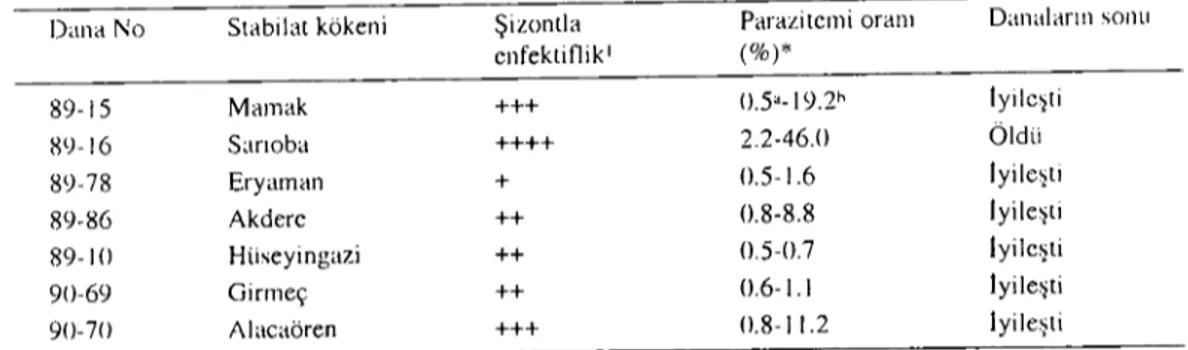Table 7. Quantitative analyse of the parasitasis and auteome of the disease in the ealves inoeulated with T{//1I1u/a{a blood stabilates isolated from different plaees in Anbra