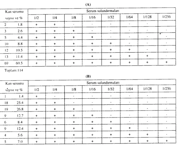 Tablo 3. Enfekte (A) ve kontrol (B) gruplarındaki farclerin IHAT ile pozitif bulunanların senını sulandırnıalarına göre dağılıını