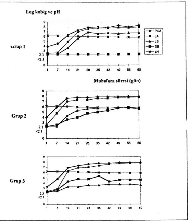 Şekil 1: Va kum paketli dilimlenmiş salam numunelerinde mikroflora ve pH seyri. Figure 1: Microflora and pH levels in sliced vacuum- packaged sausage samples.