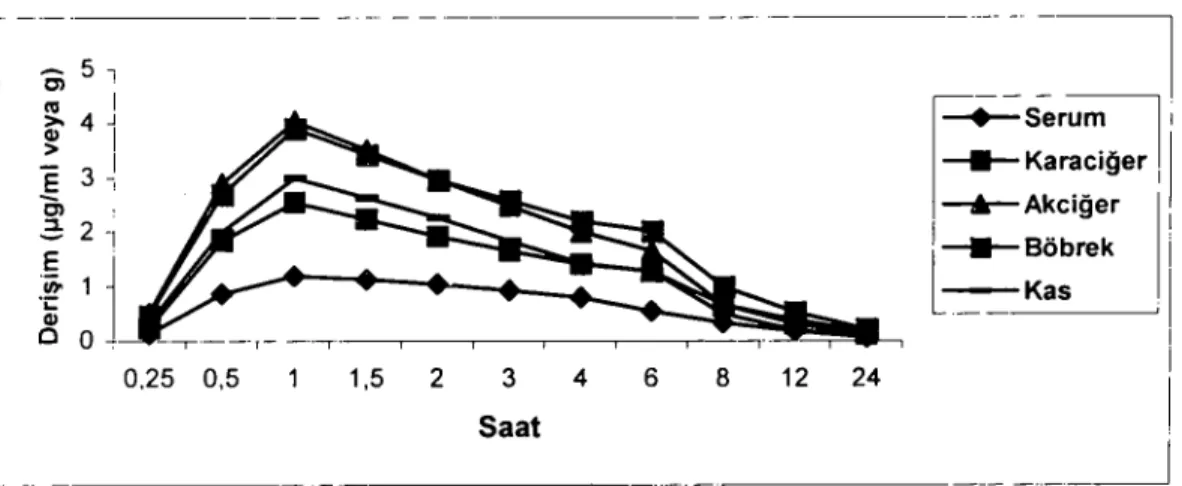 Table ı. Mean serum and tissue concentrations of enrofloxacin in mice following single subcutan dose of 2.5 mg/kg b.w
