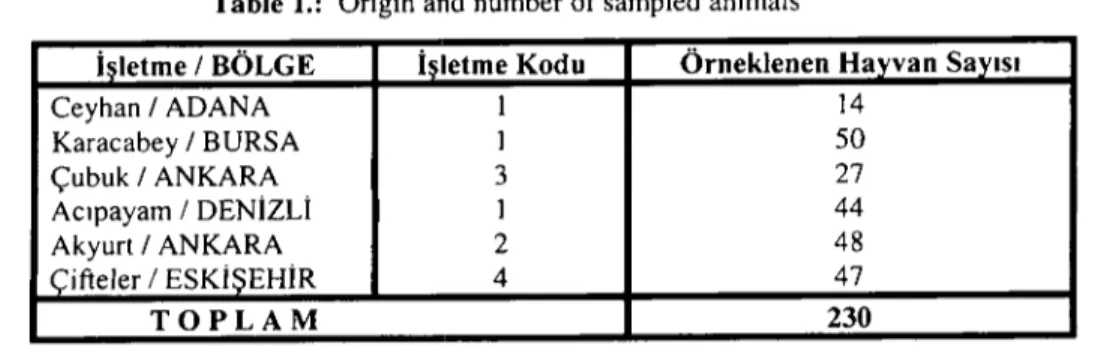 Tablo 1.: Araştırmada örneklenen hayvanlar ve sayıları Table 1.: Origin and number of sampled anİmals iletme / BÖLGE Ceyhan / ADANA Karacabey / BURSA Çubuk / ANKARA Acıpayam / DENİzLİ Akyurt / ANKARA