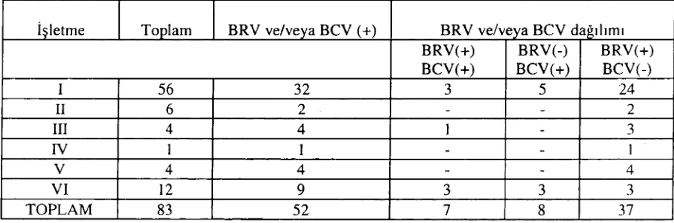 Tablo 2. İshalli buzağılarda BRV ve/veya BCV enfeksiyonu oranları Table 2. The prevalence of BRV and/or BCV infections in diarrhetic calves.