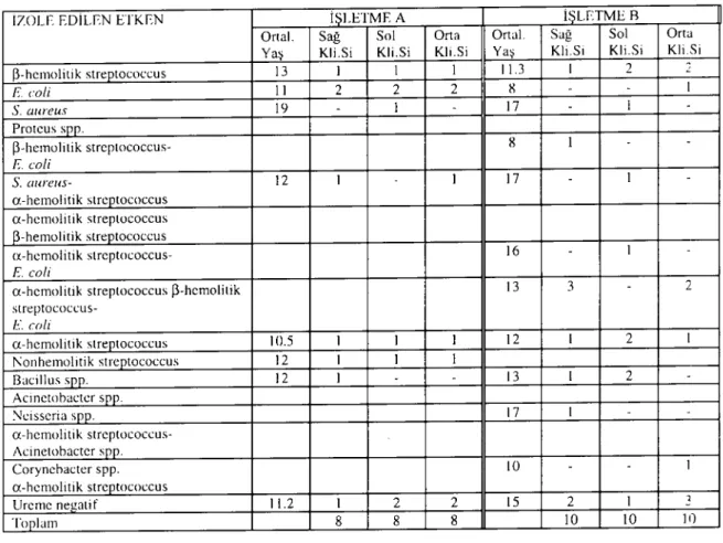 Table 3. The distribution of aerobic mİcroorganisms isolated from subfertile mares according tü elitoral sinuses and ınare's age in sıud i\ and stud B