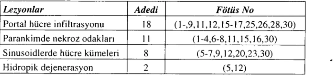 Tablo ı. Karaciğerlerde Gözlenen Histopatolojik Bulgular Table ı. Histopathologic Findings in the livers.