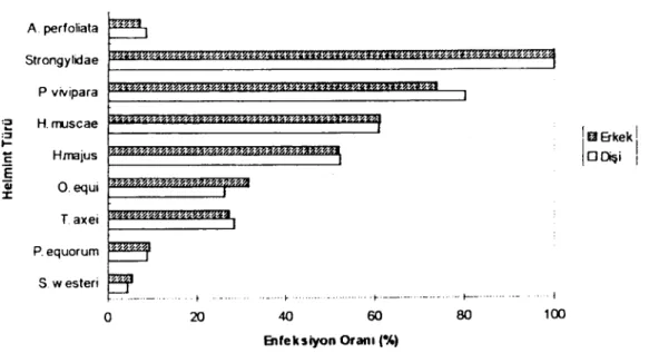 Figure 3. The prevalence of helmintic infections associated with age in donkeys