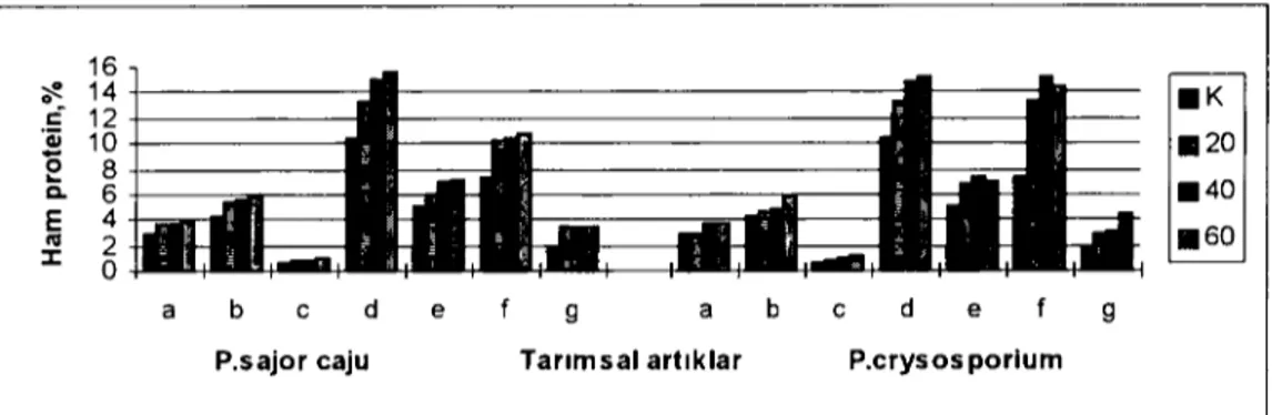 Grafik 2. Iki değişik lungus ile değişik sürelerde inkuha.syona hırakılan tarımsal artıklarda oluşan JIp değişimleri