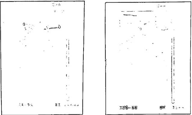 Şekil 7. 71-100 gün grubunda saptanan ultrasonografik Figure 7. Ultrasonographic findings detcrmincd in Group