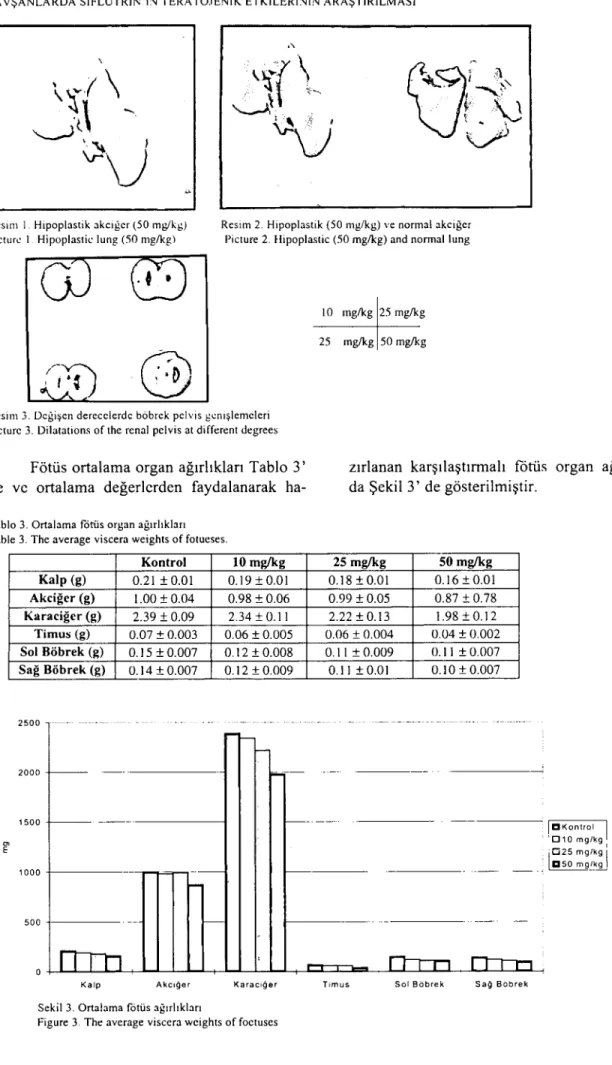 Figure 3. The average viscera wcights of foetuses
