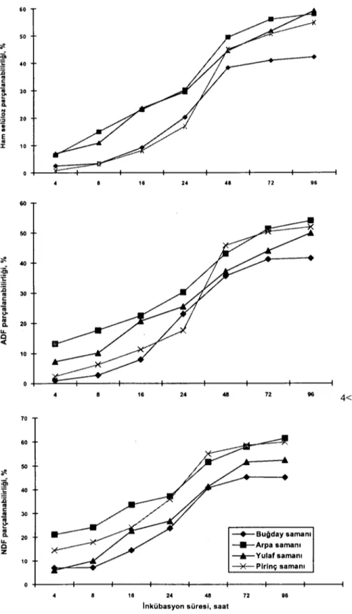 Şekil 2. Buğdaygil samanlarınm rumende HS, AOF ve NOF parçalanabilirlik eğrileri Figure 2