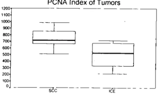 Figure 2. Box-plots showing the mean number of AgNORs per nueleus for speeimens examined