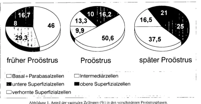 Abbildung i. Anteil der vaginalen Zelltypen (%) in den vcrschiedenen Proöstrusphasen. Grafik i