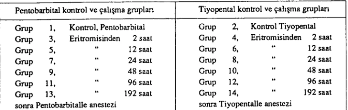 Tablo I. Farelerin Kontrol ve Çalışma Grupları. Table ı. The control and test groups of mice.