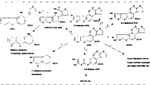Figure ı. Alteration of AFB 1 mo lee ules by processing of physieal and ehamieal.