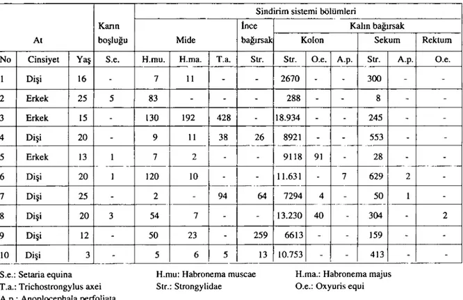 Tablo 1. Postmortem incelemede atlarda bulunan helmint türlerinin lokalizasyon yerleri ve sayılan Table ı