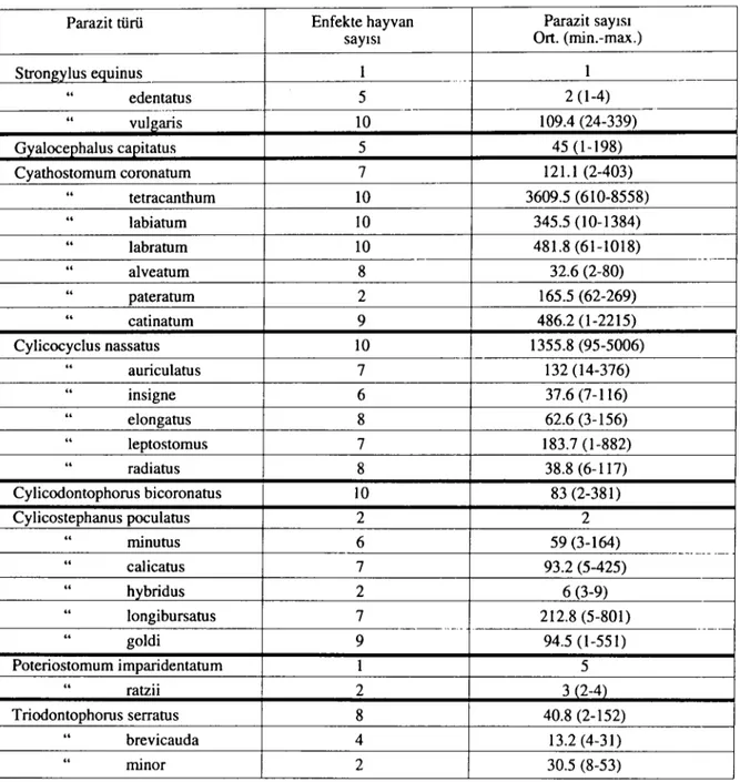 Tablo 3. Eşeklerde bulunan Strongylidae türleri ve sayılan Table 3. The Strongylidae species and their numbers found in donkeys