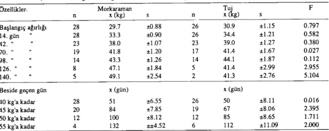 Tablo 3: Besinin çeşitli dönemlerinde Morkaraman ve Tuj ırkı erkek kuzuların ortalama cnlı ağırlıklan (Table 3