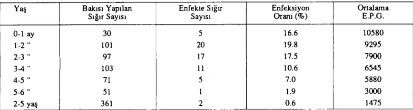 Tablo 3: Toxocara vitulorum'un cinsiyete göre dağılımı. Table 3: Pereentage prevalenee ofT