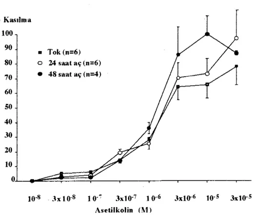 Şekil 3. Proksimal ileumda, tok, 24 ve 48 saat aç farelerde, asetilkolinin serozal verilmesiyle elde edilen non-kümülatif konsantrasyon cevap eğrileri