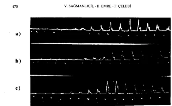 Şekil 4: Proksimal ileumda, tok (a), 24 (b) ve 4ll saat aç (c) farelerde, asctilkolinin serozal verilmesiyle ilgili elde edilen kasılmalar.