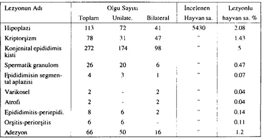 Tablo i: Testis ve epididimislerde belirlenen lezyonların dağılımı