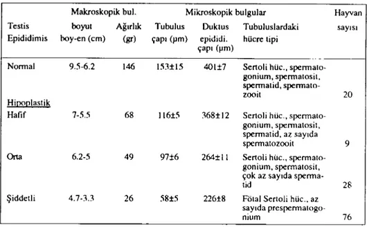 Tablo II: Hipoplastik testis ve epididimislerde kantiıaıif değerler ve ıubuluslann kapsadıkları hücre tipleri