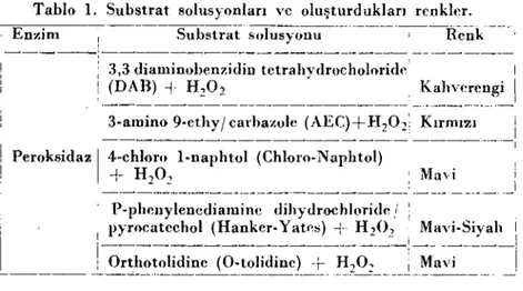 Tablo ı. Substrat solusyonları ve oluşturdukları renkler. Enzim .----- Substr~ts()lusyoıı~_._---_._._---rt~-~k : 3,3 diaıııinobenzidin tctrahvdr()clıoloridı~' i (DAB) + H z 0 2 • iKahverengi ı , i ._-----------------_._--- _ ..•.